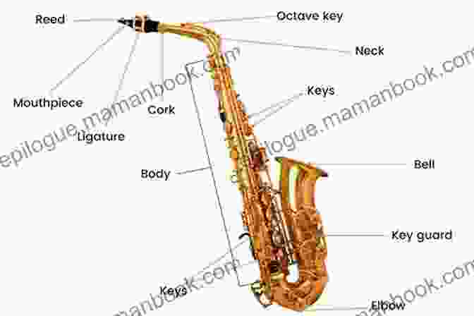 A Mind Map Of The Tenor Saxophone, Showcasing Its Parts, Techniques, And Musical Applications. Tenor Saxophone Mind Mapping: A Sax Fingering Chart How You Think (How To Play Easy Tenor Sax 2)