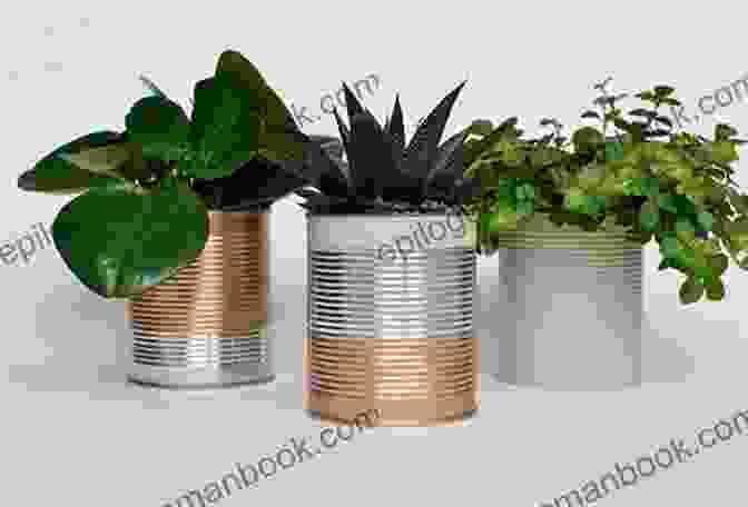 A Photo Of A Tin Can Planter With A Plant Growing Out Of It. 10 Minute Upcycled Projects (10 Minute Makers)