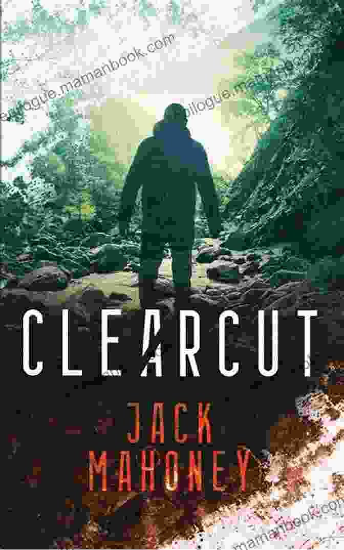 Clearcut Installation Clearcut (Adrian Cervantes 1) Jack Mahoney